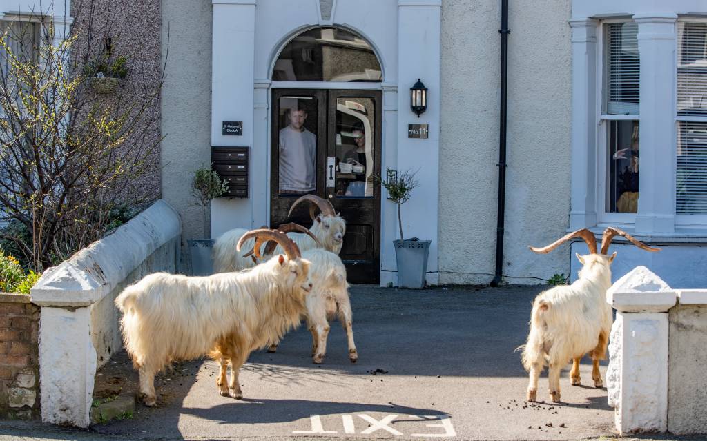 Llandudno, País de Gales, Reino Unido