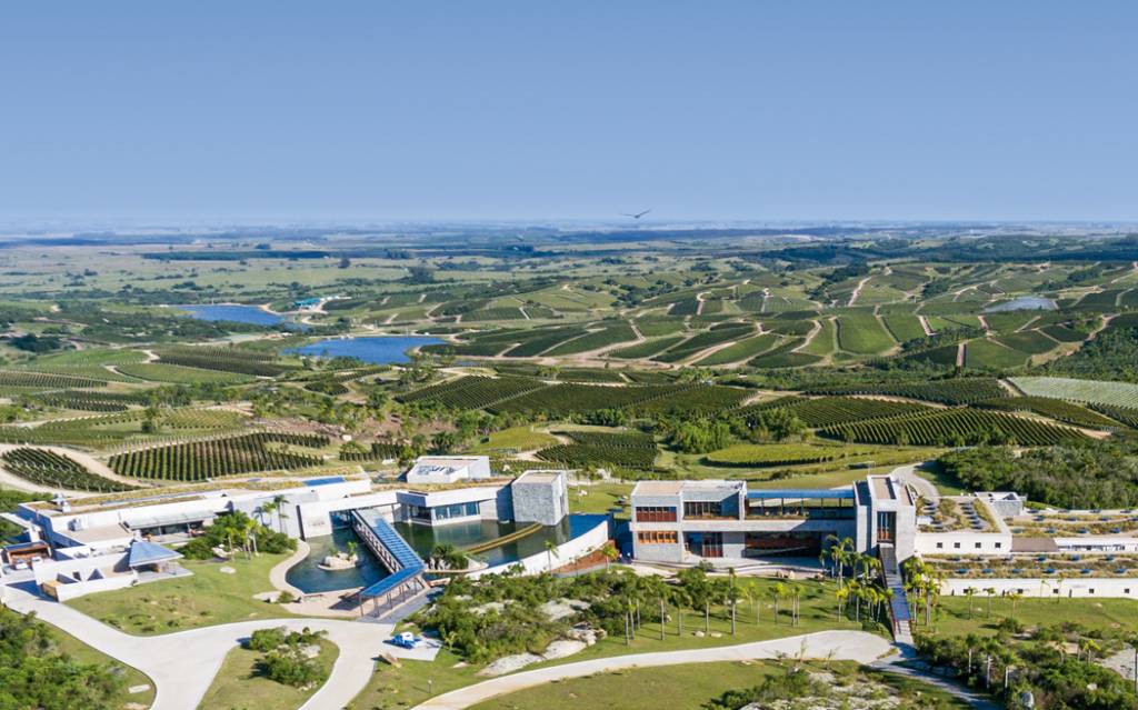 A Bodega Garzón, do Uruguai, ficou em quarto lugar no ranking mundial. Crédito: