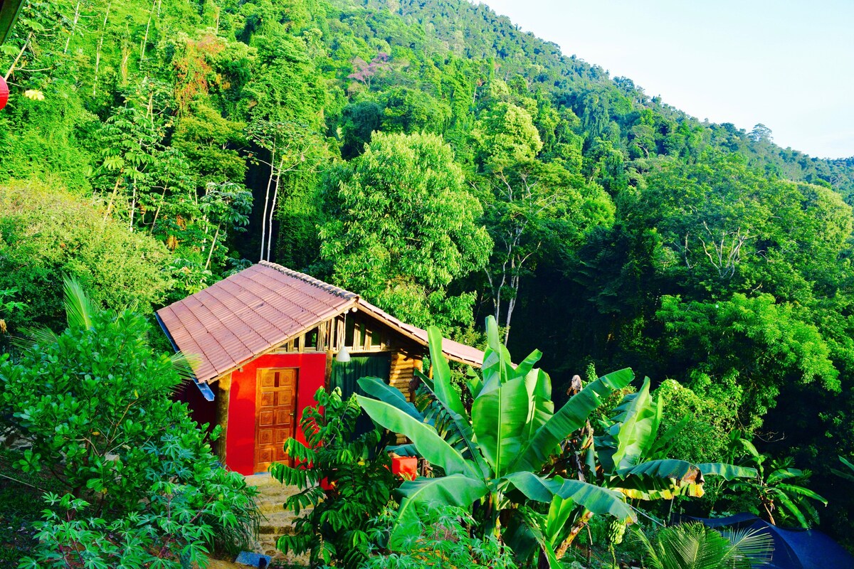 Casas Airbnb praia perto de São Paulo 7