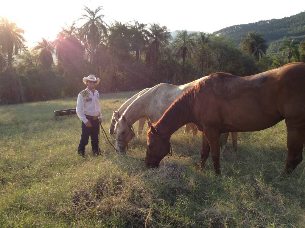 Os cavalos de Filipe já no Brasil, depois de percorrerem mais de 16 000 km: "eles não são coitados, muito pelo contrário"