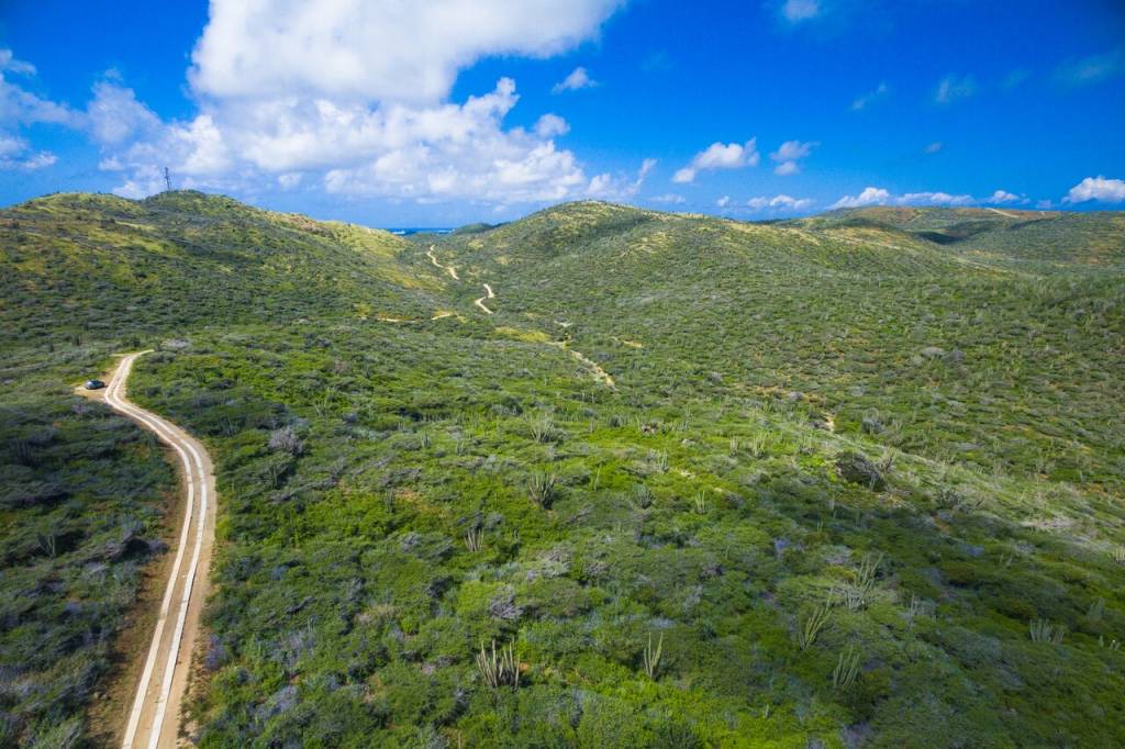 Vista aérea do Parque Nacional Arirok, Aruba, Caribe