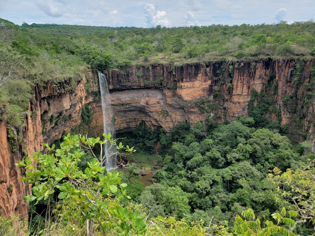 Poconé, Pantanal, Mato Grosso, Brasil