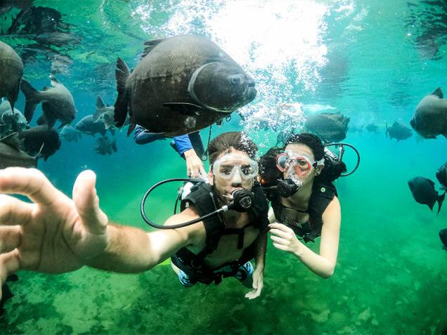 Também é possível fazer mergulho de cilindro no Lago das Águas Quentes, habitado por enormes pirarucus.