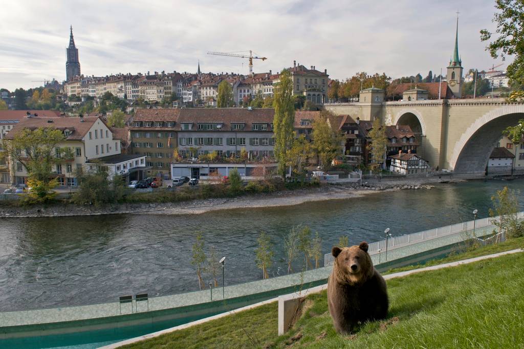 Bern, a cidade dos ursos (de verdade)