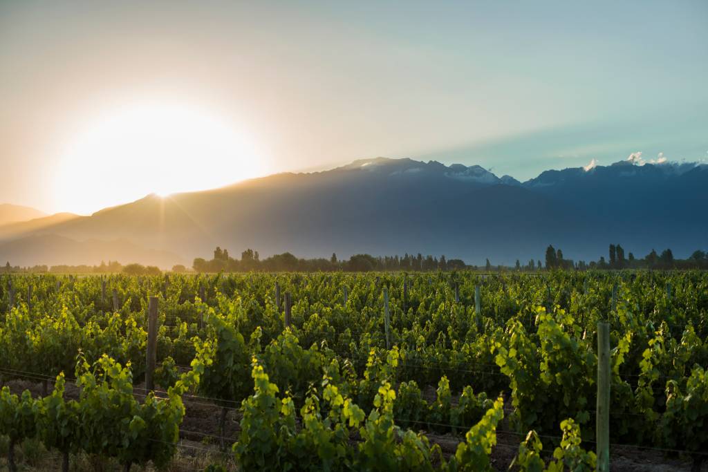 Valle do Uco, Mendoza, Argentina