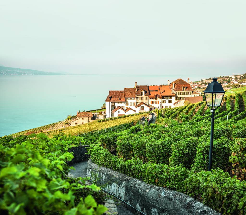 Os terraços milenares tombados pela UNESCO.