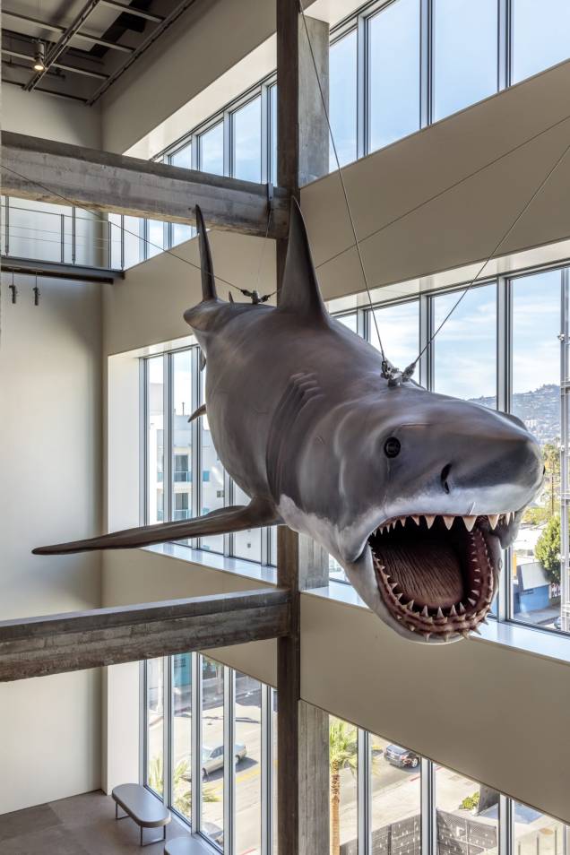 O modelo em tamanho real usado em "Tubarão" (1975) de Steven Spielberg, está suspenso dentro do museu  
