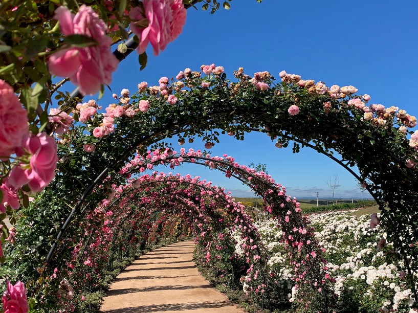 Mátria Parque de Flores, São Francisco de Paula, Rio Grande do Sul, Brasil