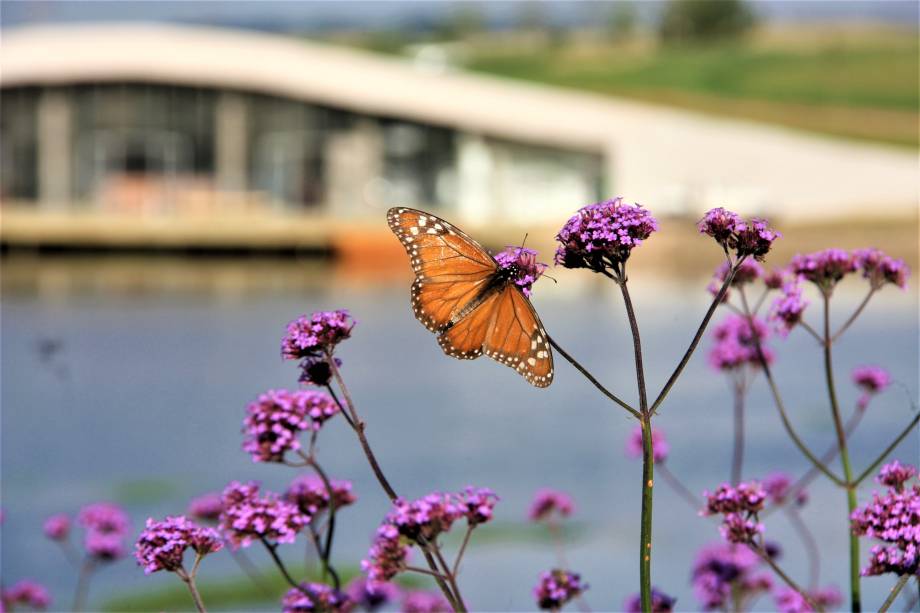 Mátria Parque de Flores, São Francisco de Paula, Rio Grande do Sul, Brasil