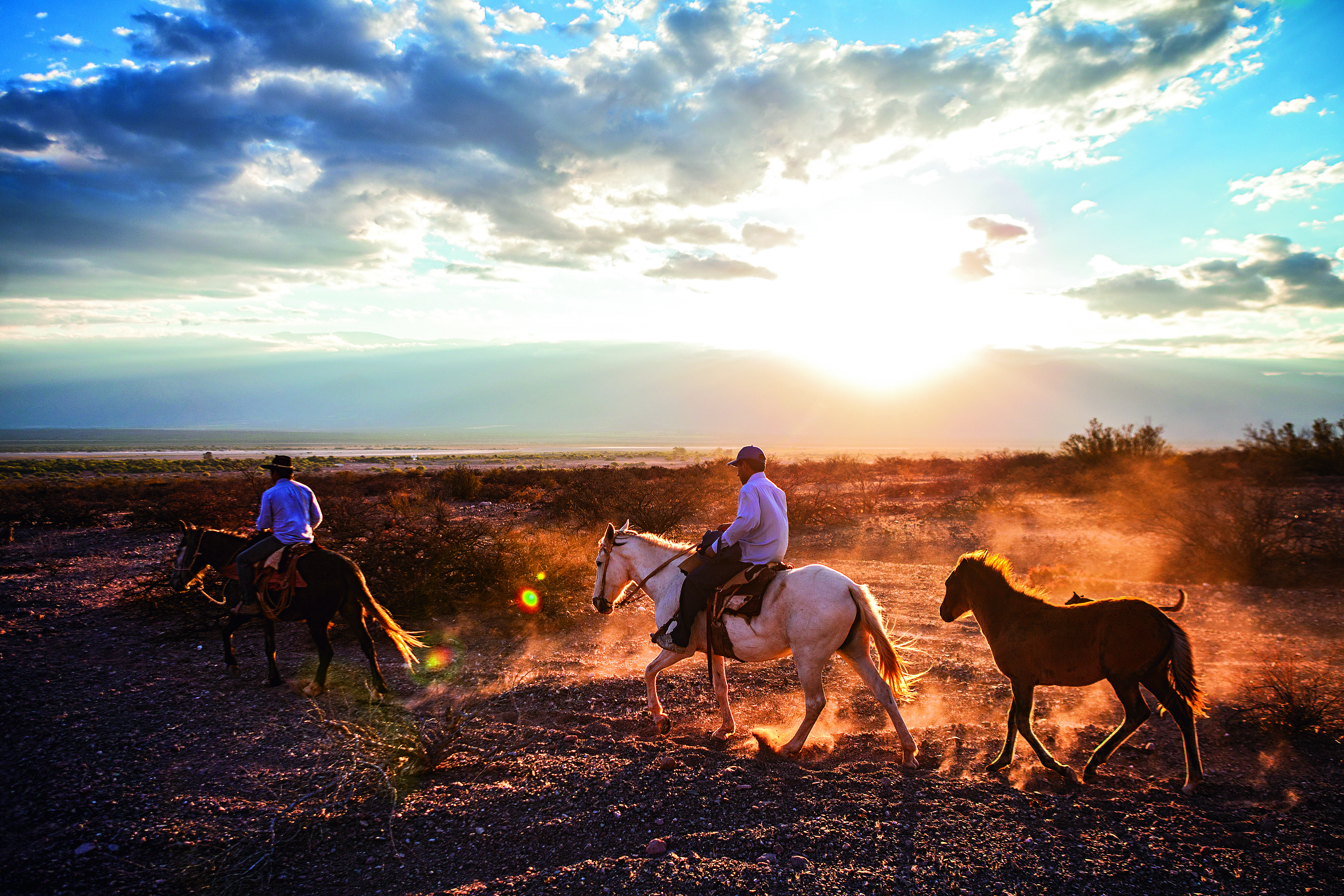 Na imagem é possível ver algumas pessoas cavalgando sob o por do sol.