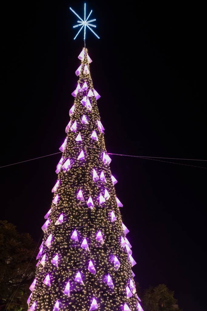 Pinheiro de Natal decorado com luzes roxas