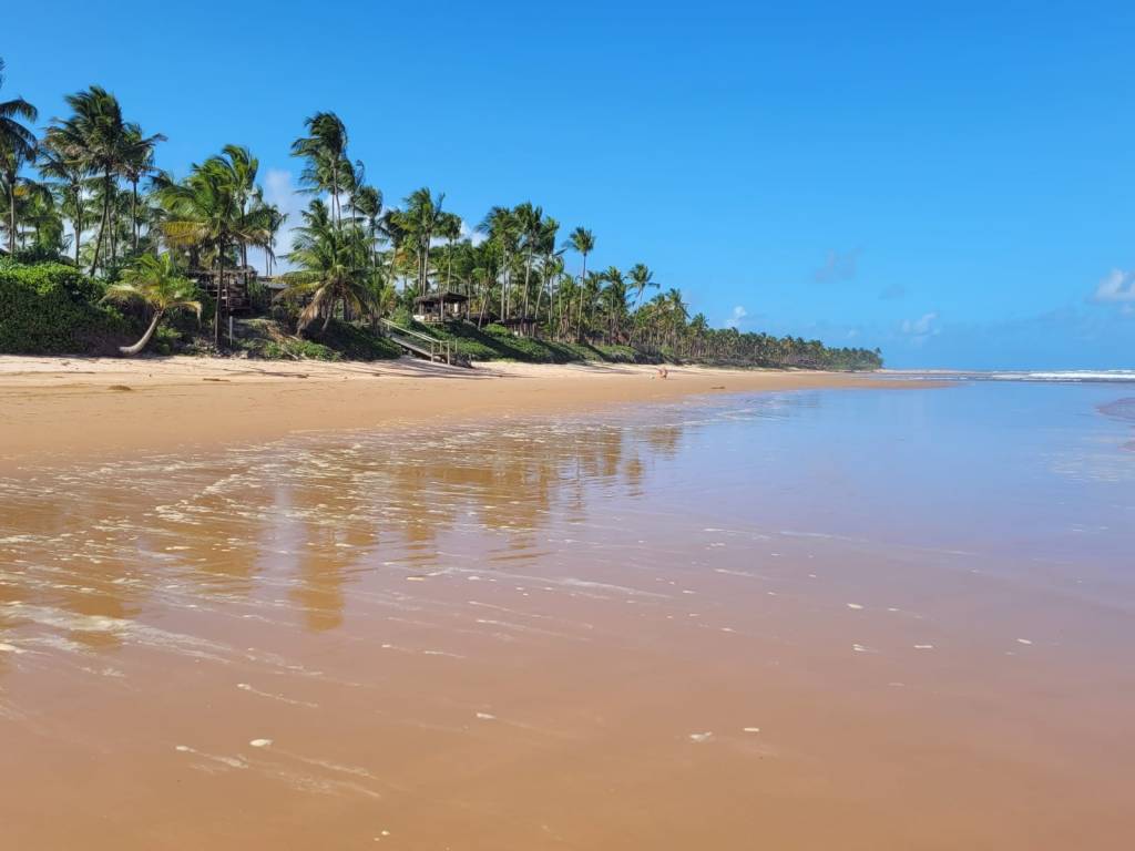 A Bahia voltando a ser Bahia, ontem de manhã