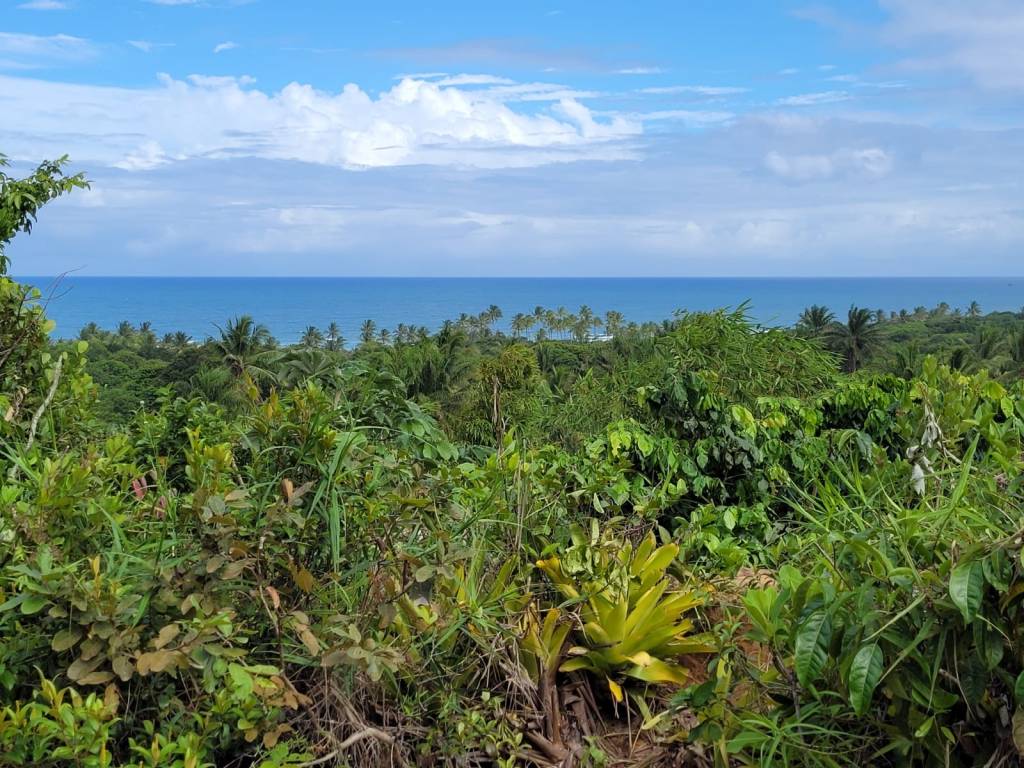 A vista incrível do mirante