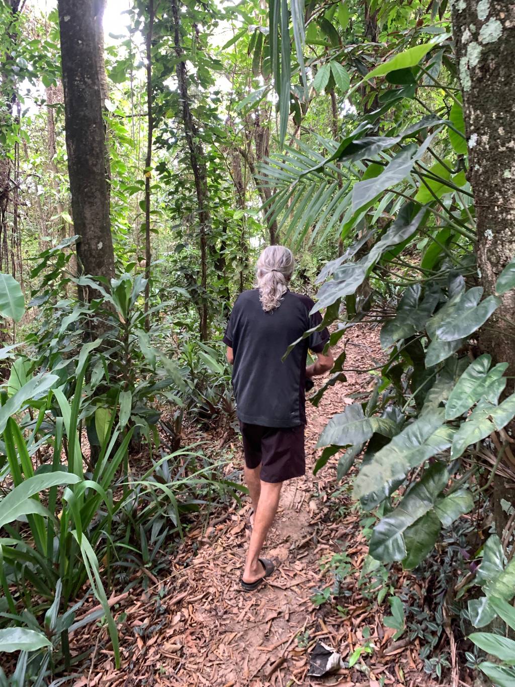 Seguindo os passos de Karma a caminho do mirante