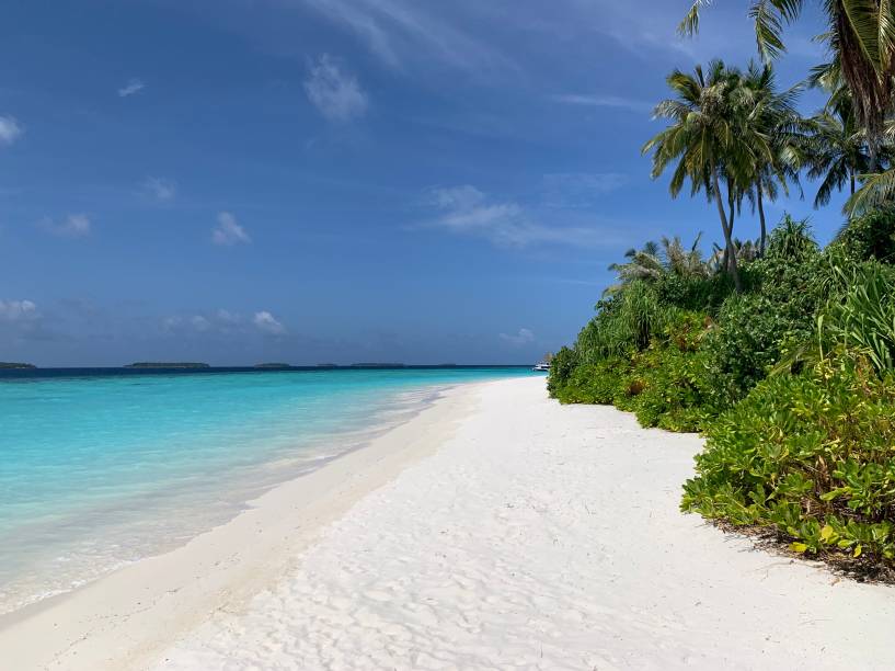 “Paraíso” é a palavra que não sai da sua cabeça “Paraíso” é a palavra que não sai da sua cabeça