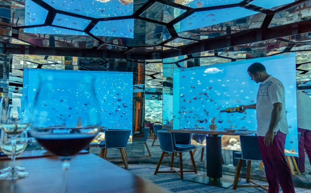 SEA, restaurante subaquático sempre visitado por cardumes