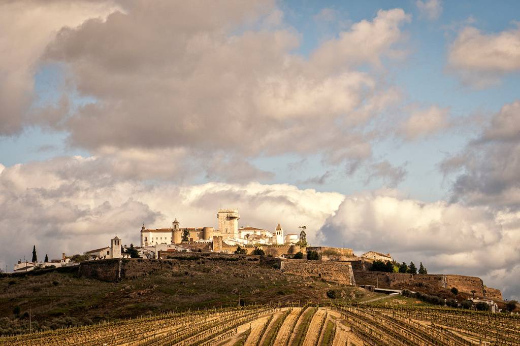 Fileiras de vinhedos em primeiro plano, uma colina e, lá no alto, muralhas, uma torre de castelo e casinhas brancas