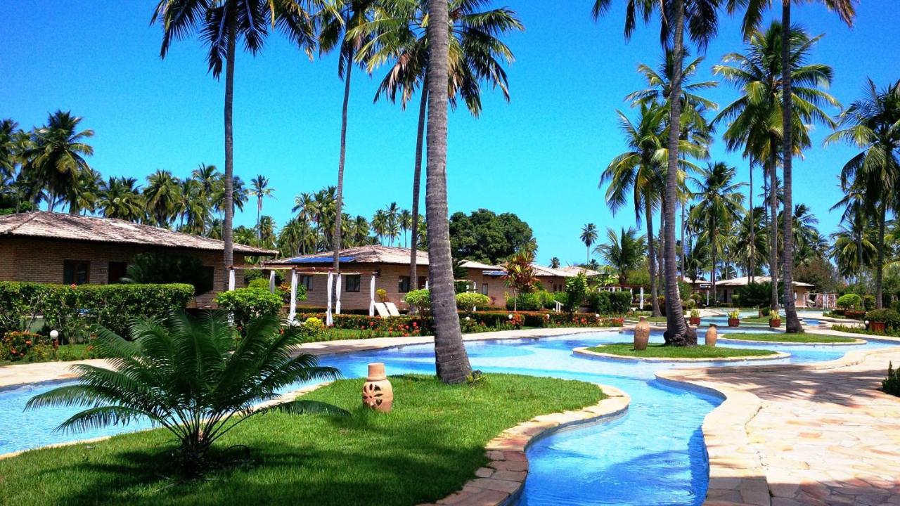 A imagem mostra uma piscina que corta uma área de coqueiros e casas em um resort