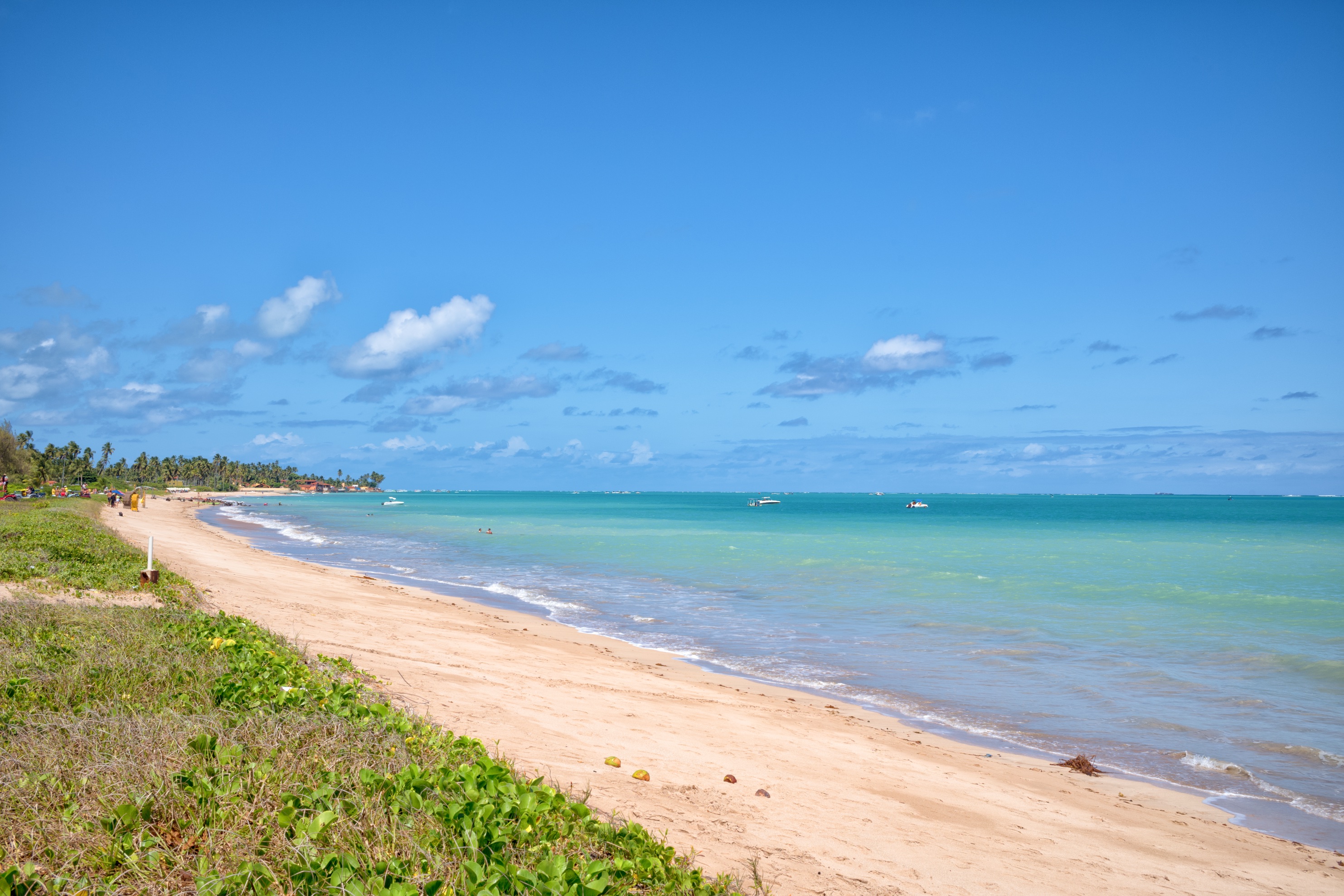 Na fotografia é possível observar uma pequena faixa de areia e um mar azul esverdeado raso e com poucas ondas. A areia é cercada por vegetação e o céu é azul e com poucas nuvens.