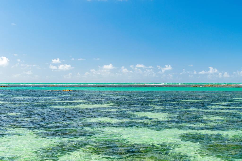 A imagem mostra uma mar verde esmeralda com águas cristalinas onde é possível ver recifes de corais. Ao fundo, o céu possui um azul intenso e poucas nuvens.