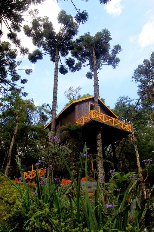 Cercada pelas araucárias, a casa na árvore acomoda famílias de até quatro pessoas.