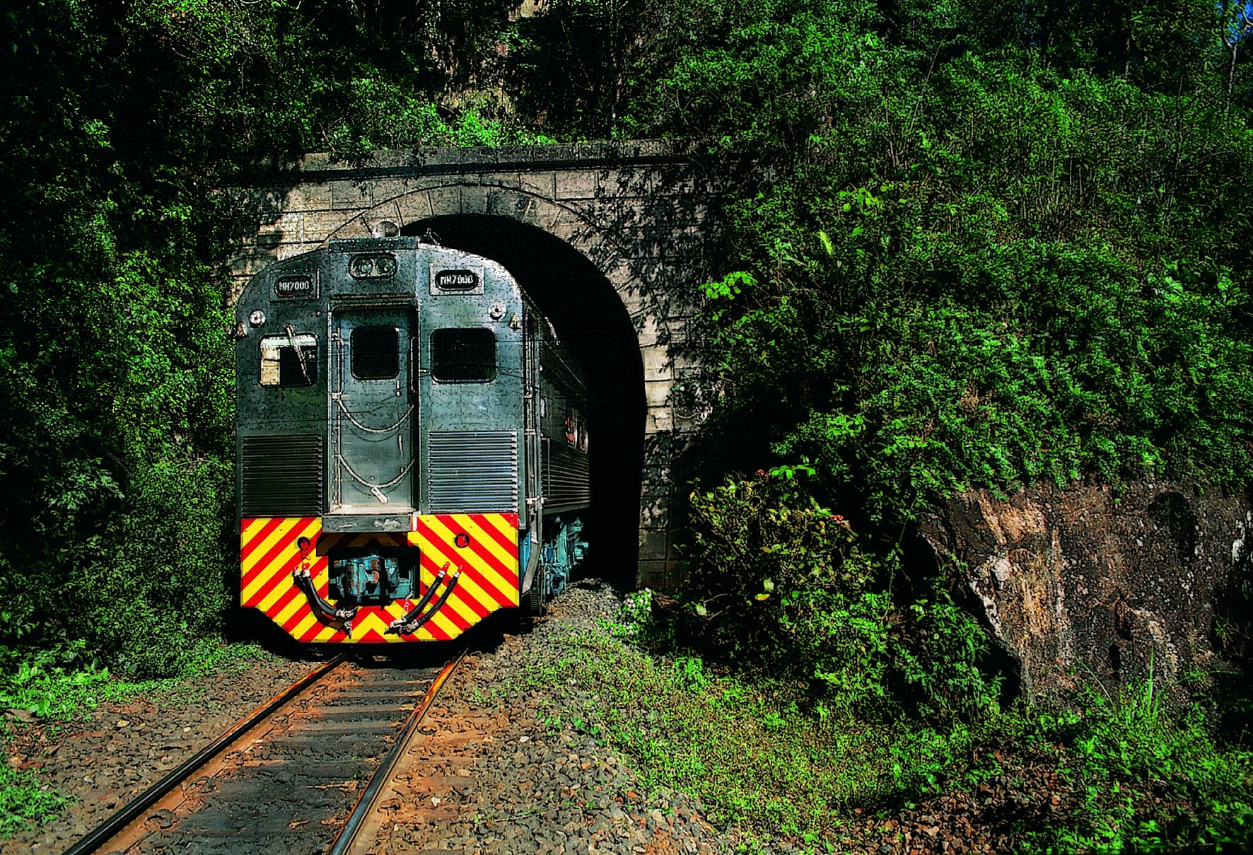 A fotografia colorida mostra um trem saindo de um túnel