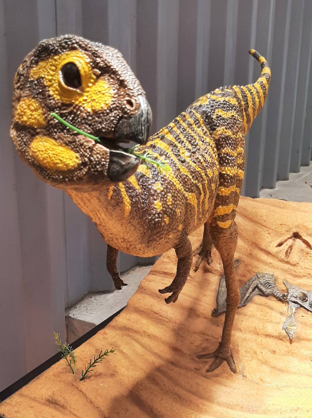 Detalhe-cabeca-Bethasaura-Maurilio-Oliveira Museu Paleontológico