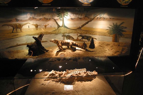 museu dos dinossauros