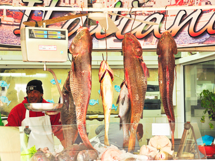 Peixes frescos pendurados em uma vitrine de restaurante