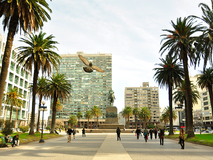 Plaza Independencia com palmeiras e prédios governamentais do fundo. Uma pomba voa em primeiro plano.