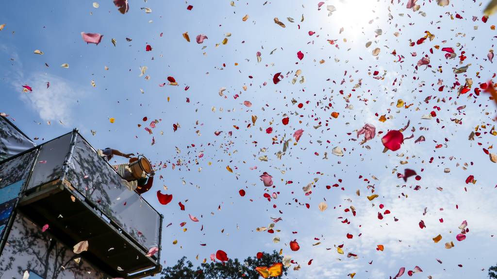 A fotografia colorida mostra pétalas de rosas caindo de um céu azul intenso.