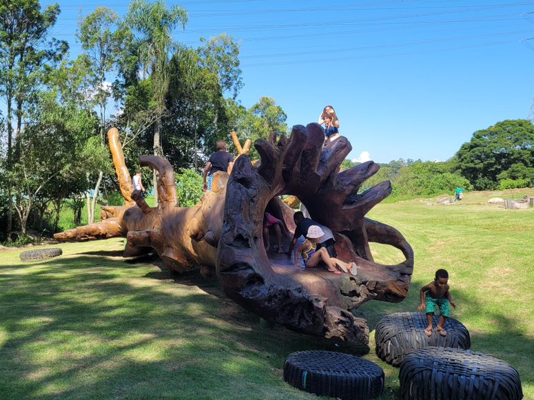 A imagem mostra crianças brincando em um árvore caída