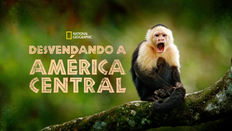 Desvendando a América Central, Disney+