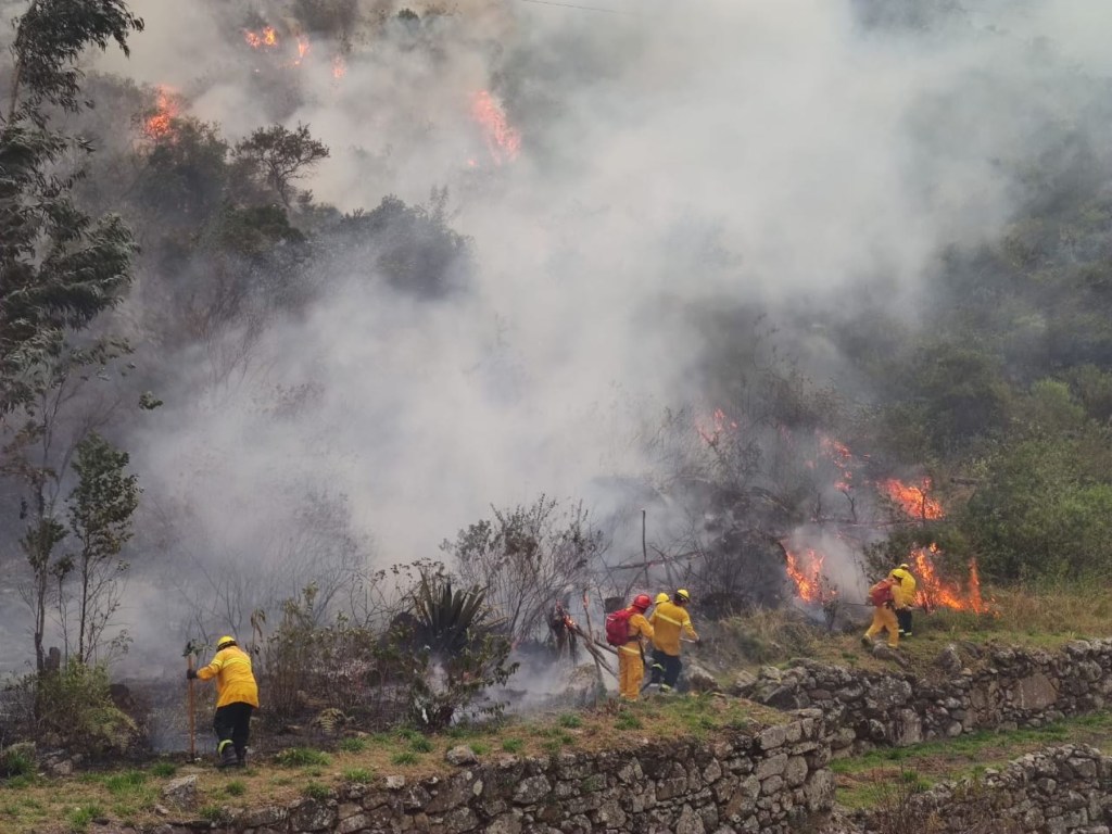 A imagem mostra homens combatendo um incêndio florestal