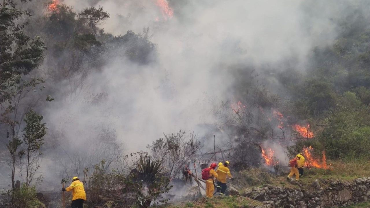 A imagem mostra homens combatendo um incêndio florestal