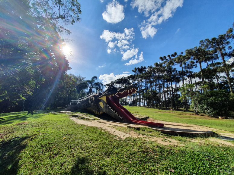 A imagem mostra um escorregador em formato de jacaré