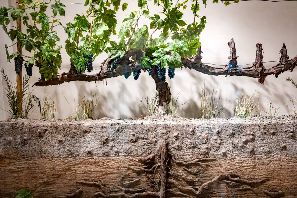 Escultura mostra a estrutura de uma parreira no museu Wine Experience
