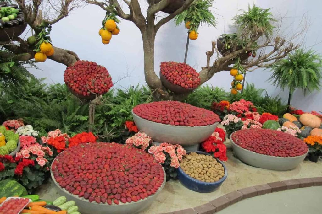 FESTIVAL DO MORANGO COM ENTRADA GRATUITA EM SP 🍓😱 Já marca todo mund