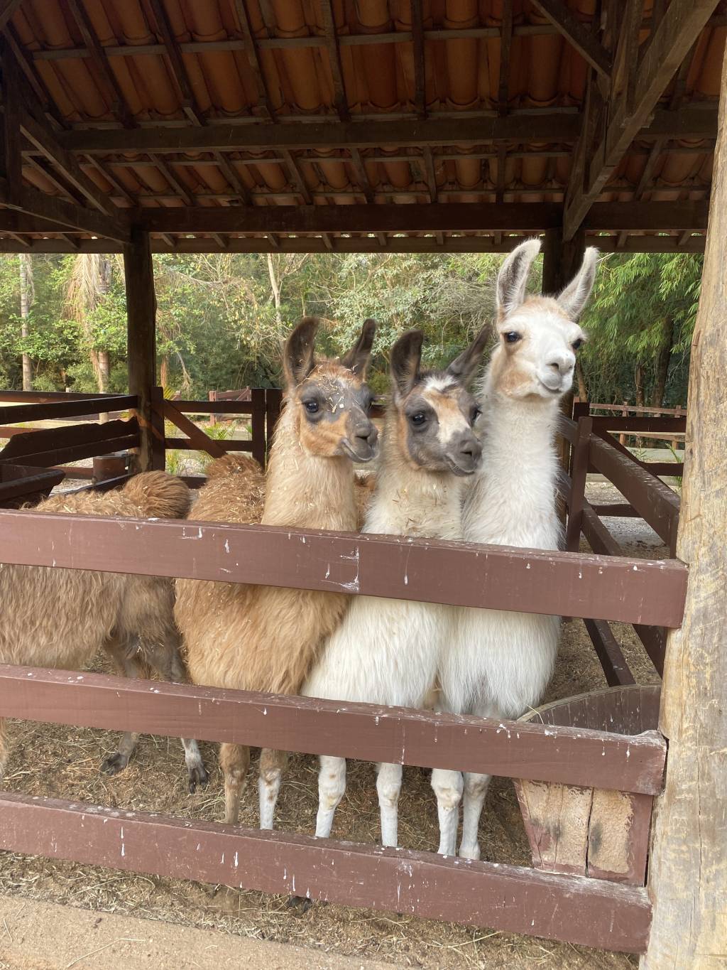 Sítio Carroção