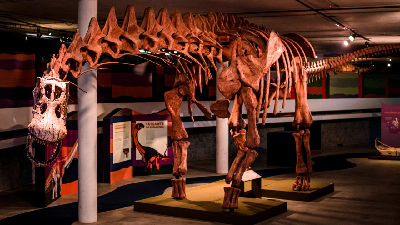 Dinossauros, patagotitan - o maior do mundo