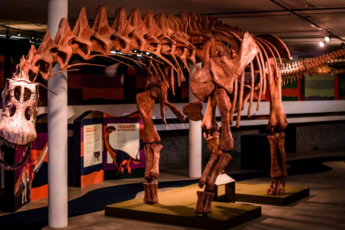 Dinossauros, patagotitan – o maior do mundo