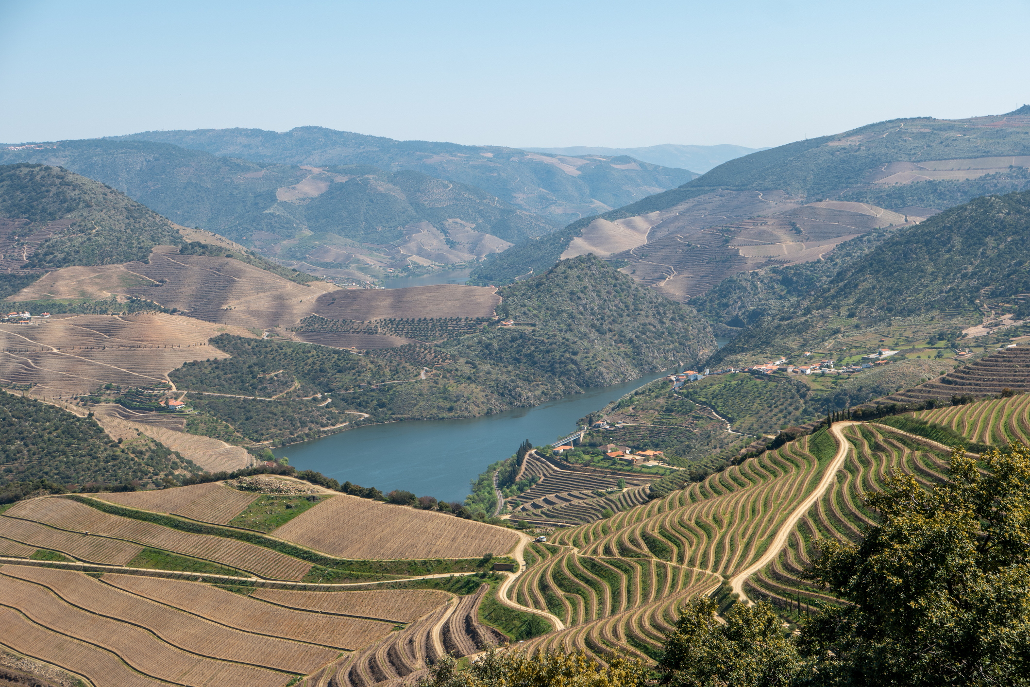 Região do Douro