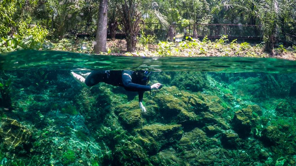 Flutuação na Nascente Azul, Bonito, Mato Grosso do Sul, Brasil