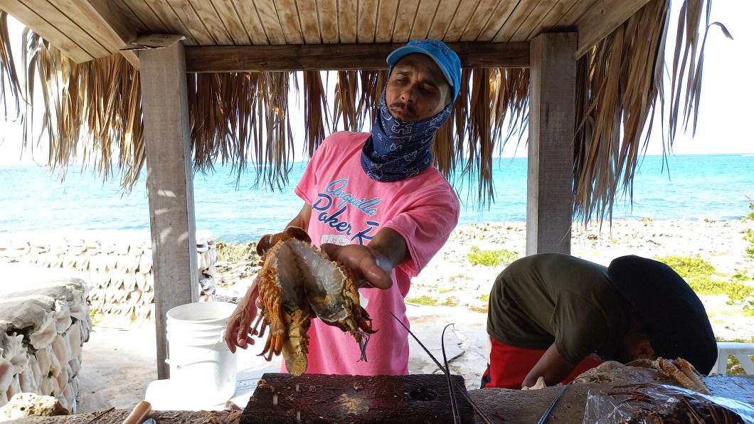 Scilly Cay: Alexander e a lagosta recém pescada