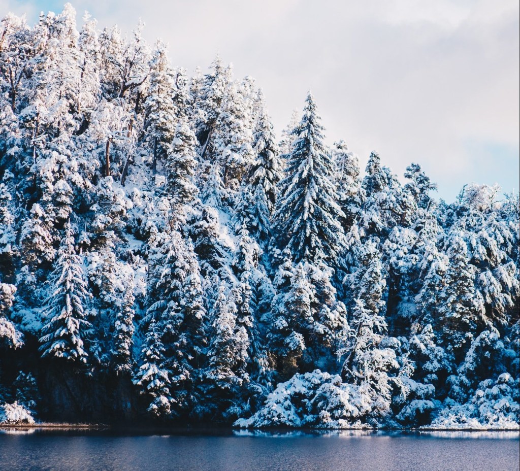 Árvores cobertas de neve à beira do lago em Bariloche