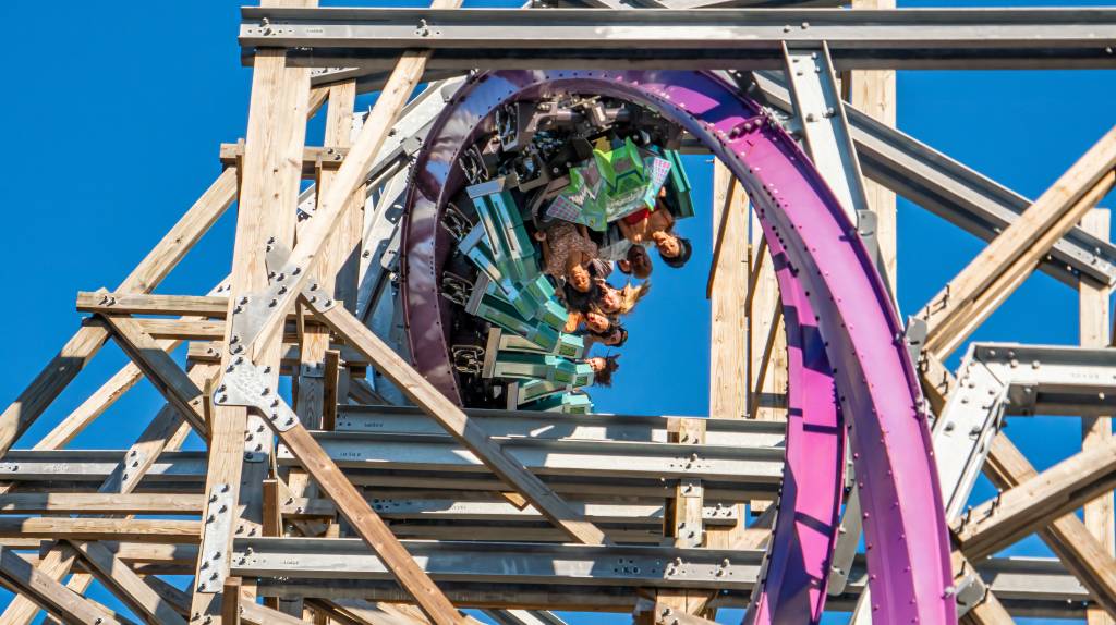 Iron Gwazi, Tampa, Flórida, Estados Unidos