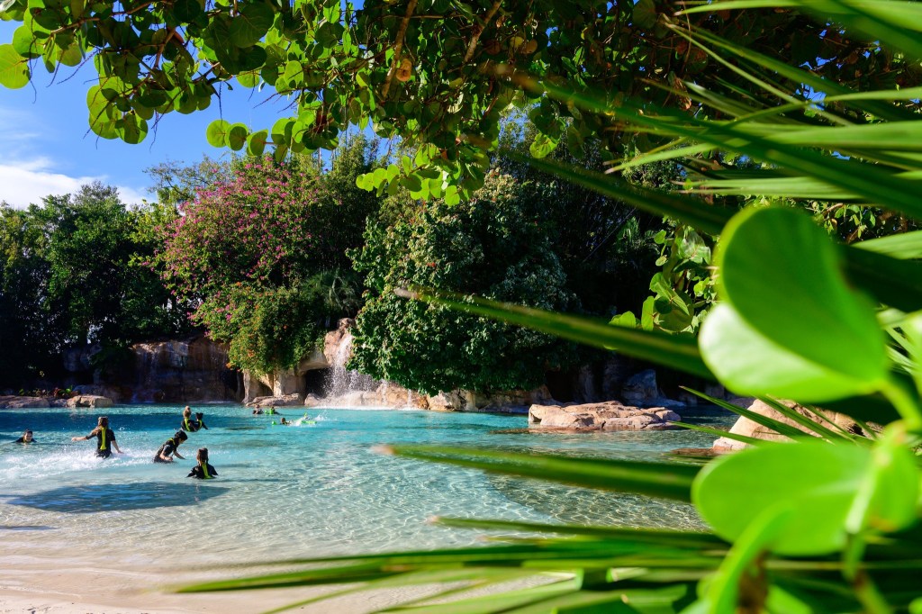 Serenity Bay, Discovery Cove, Orlando, Flórida, Estados Unidos Um bonito paisagismo cerca a piscina Serenity Bay, que também possui uma cascata nos fundos
