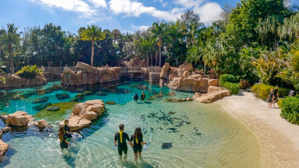 The Grand Reef, Discovery Cove, Orlando, Flórida, Estados Unidos