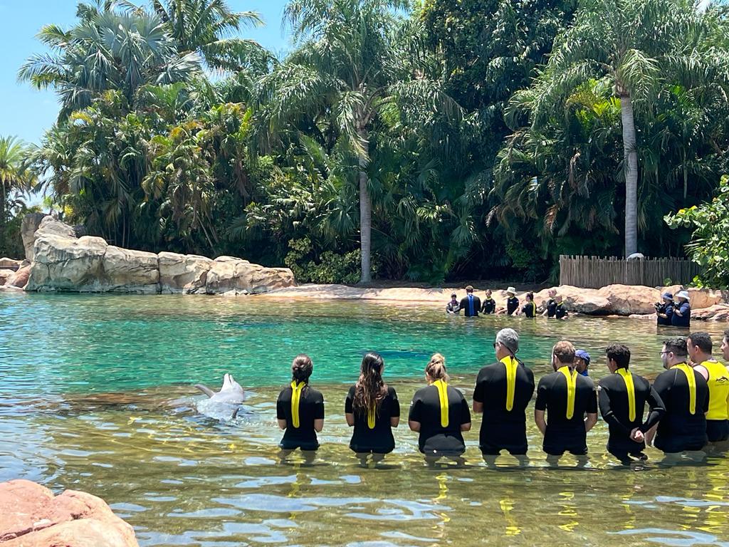 Dolphin Lagoon, Discovery Cove, Orlando, Estados Unidos Dolphin Lagoon, Discovery Cove, Orlando, Estados Unidos