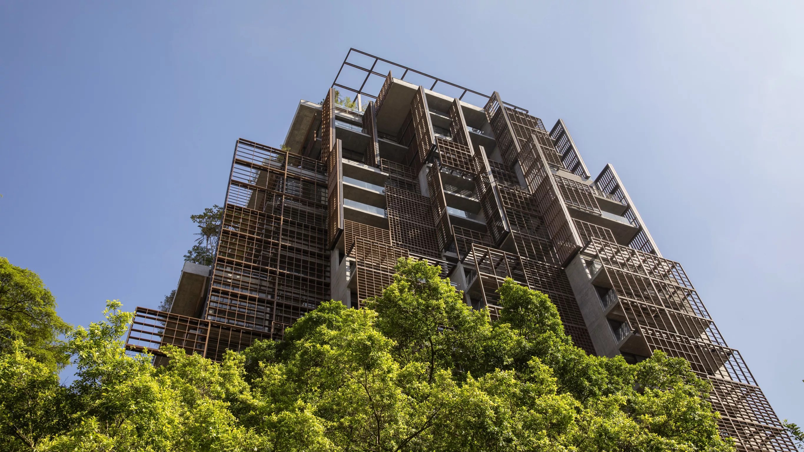 torre mata atlântica jacarandá São Paulo